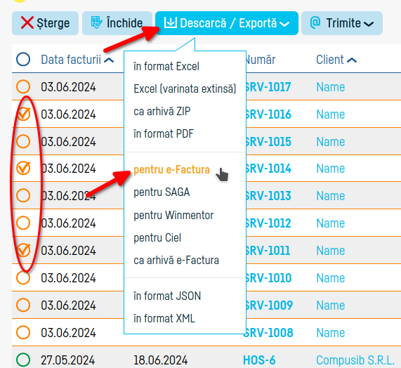 Cum transmiți automat mai multe facturi la efactura - pasul 3
