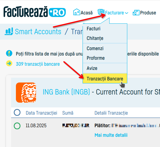 Cum conectezi o bancă pentru asocierea tranzacțiilor - pasul 10
