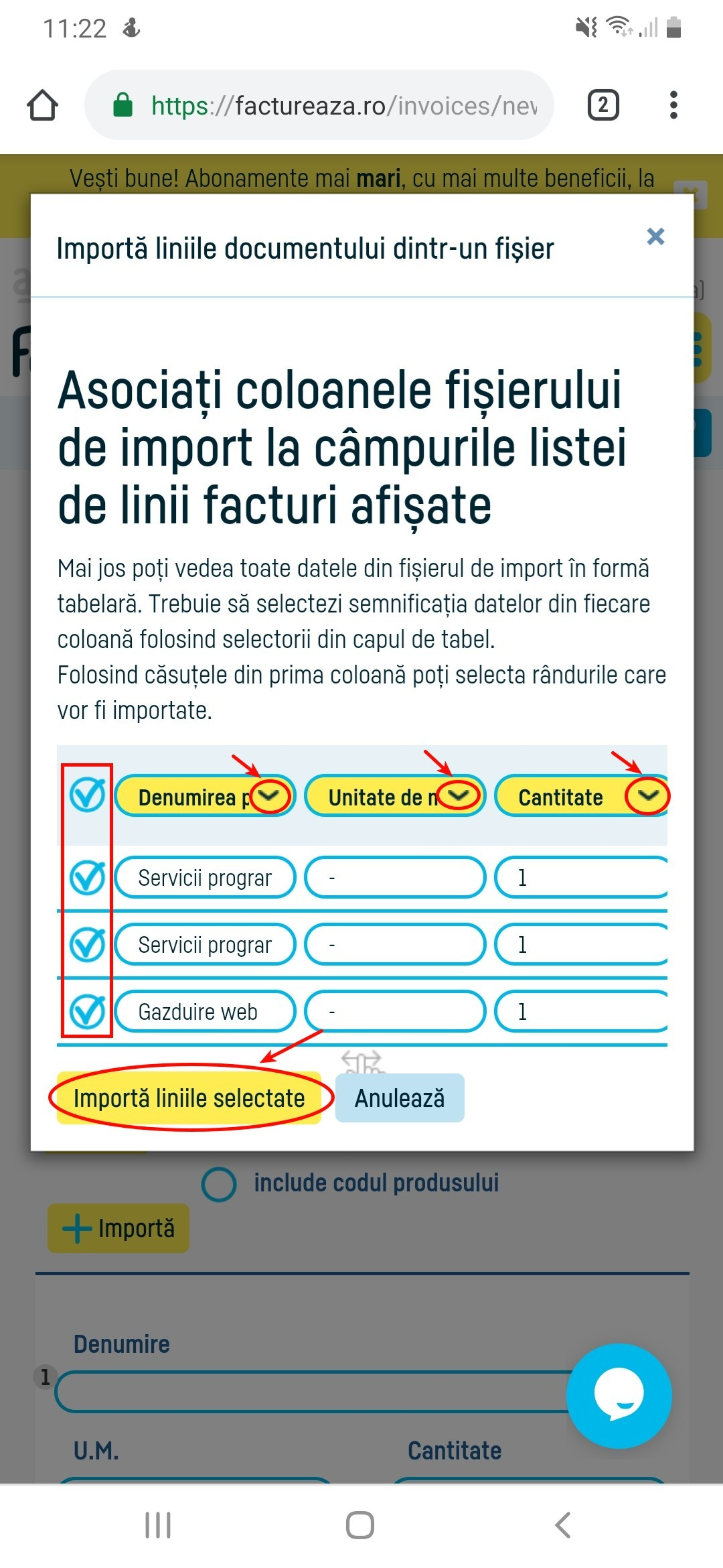 Import linii din documente în factura ta - pasul 4