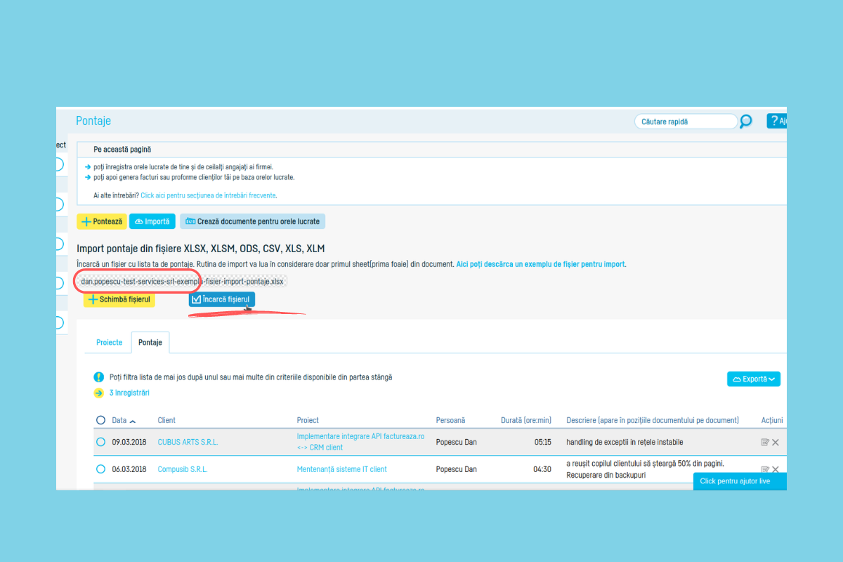 Cum generezi automat pontaje cu un import din Excel - pasul 6