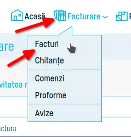 Cum verifici transmiterea la eFactura - pasul 1